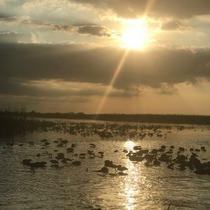 Meet your Posher, Cora